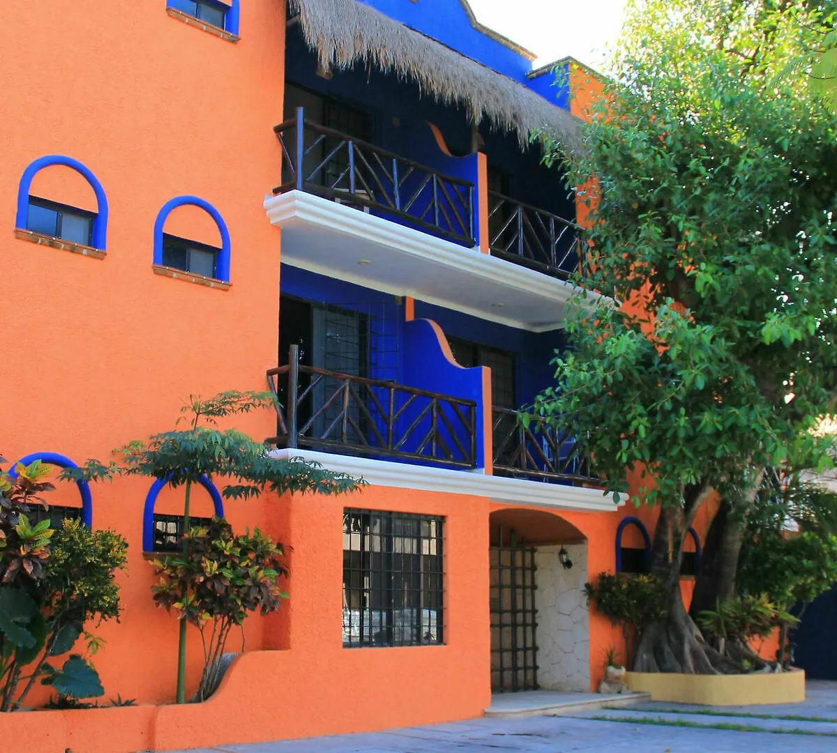 Aparthotel Vida Playa Suites