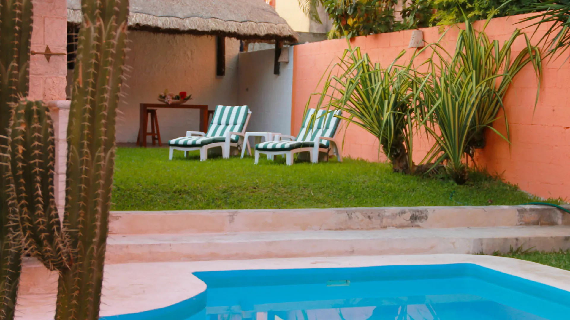Aparthotel Vida Playa Suites